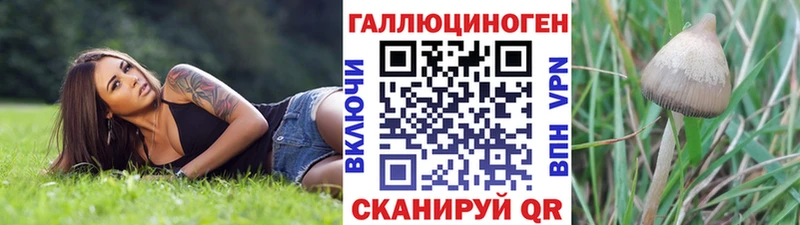 Галлюциногенные грибы мухоморы hydra ТОР Терек